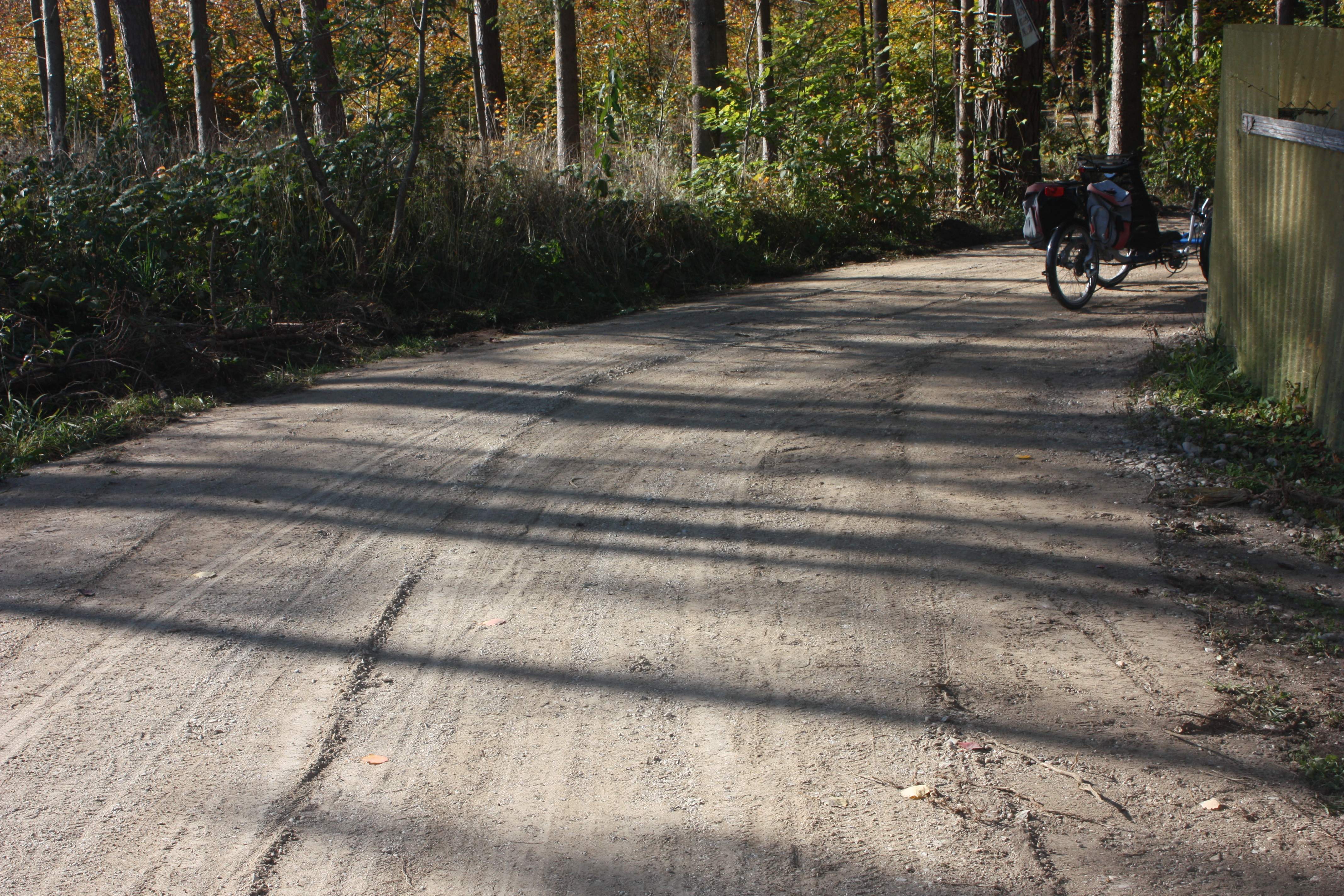 Fertiger feiner Waldweg